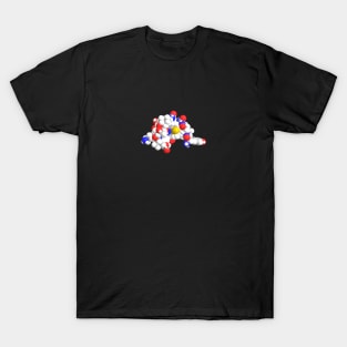 Gamma Endorphin Molecule Chemistry T-Shirt